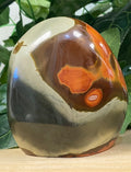 Polychrome Free Form 614g