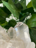 Heart with Angel Wings Ring Size 5
