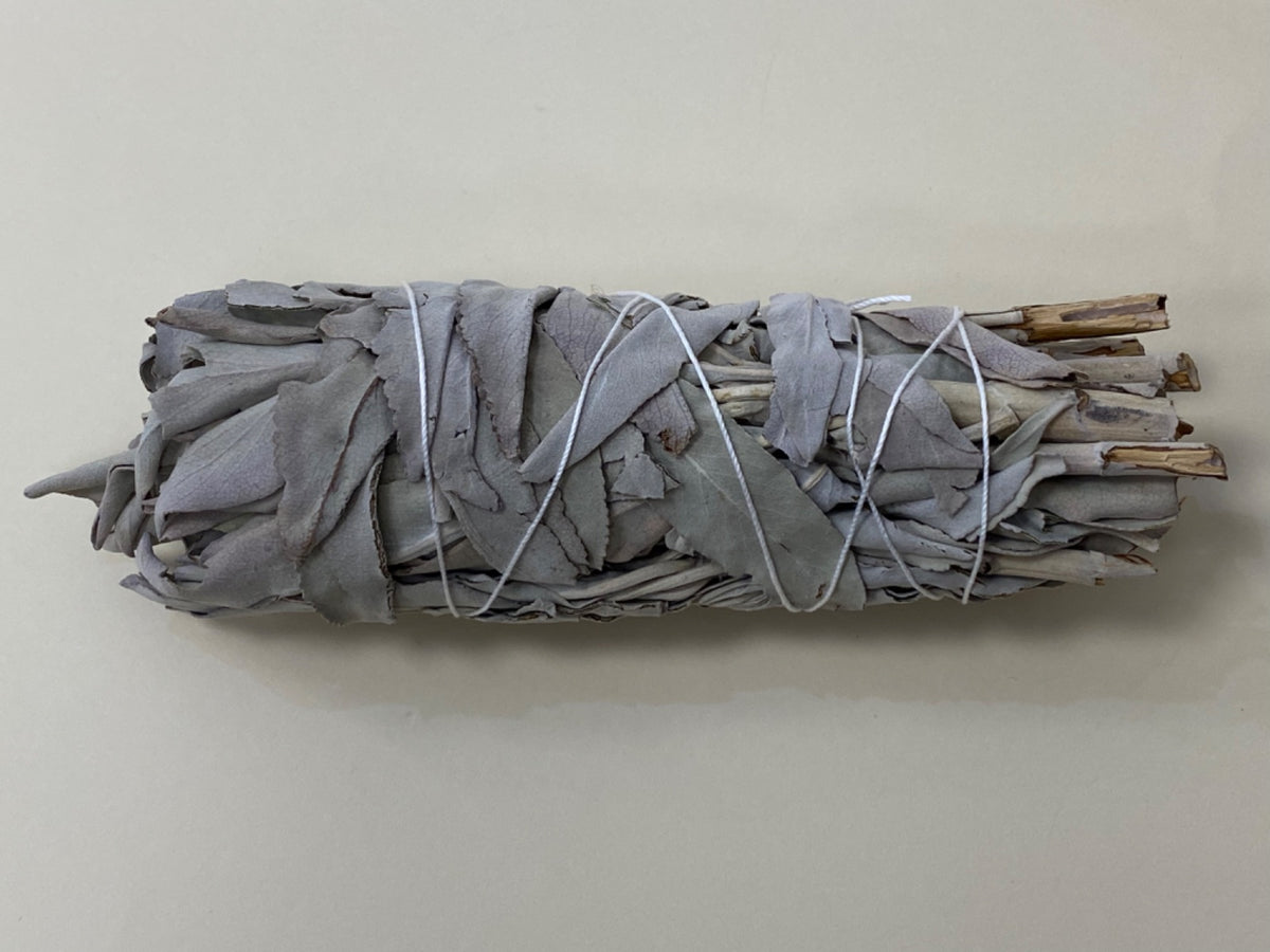 Smudge White Sage 5-6inch
