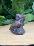 Garnet Owl