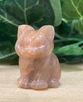 Peach Moonstone Sitting Cat Carving 3cm