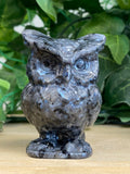 Larvikite Owl Carving