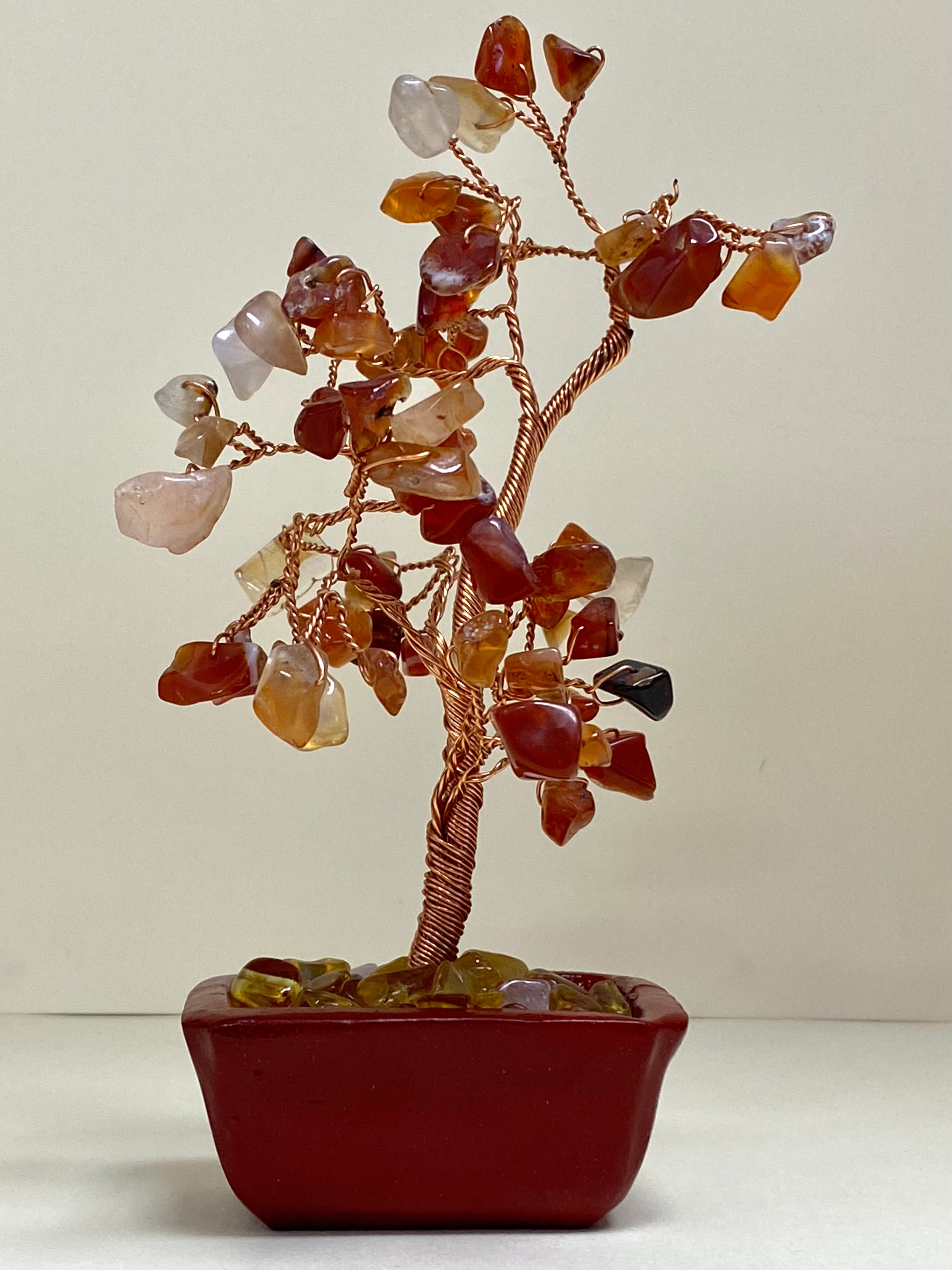 Carnelian Chip Tree 15cm Rectangle Pot