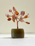 Carnelian Chip Tree on Agate Block