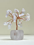 Clear Quartz Chip Tree on Clear Quartz Block
