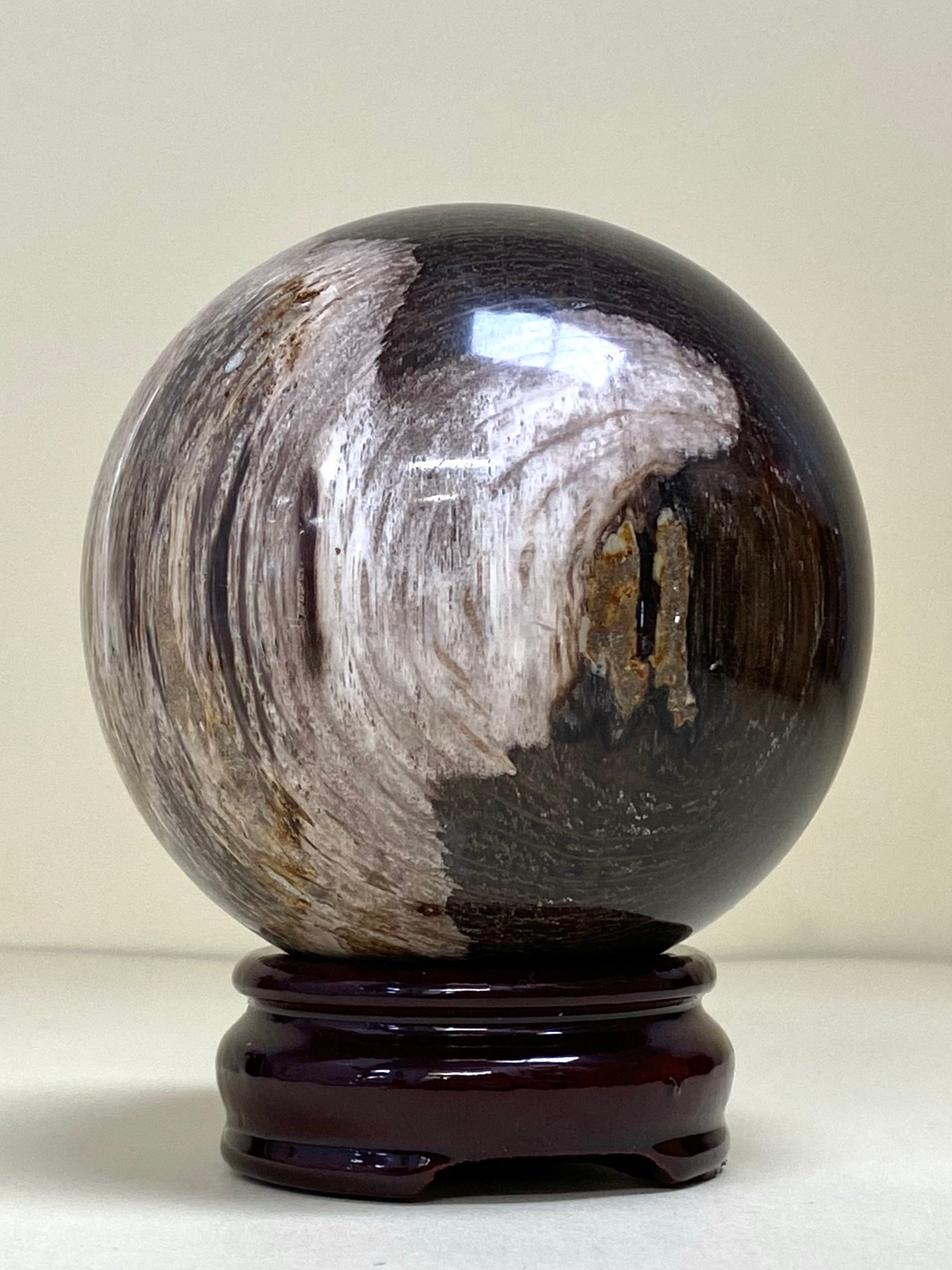 Petrified Wood Sphere 9cm