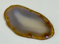 Agate slice Medium
