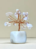 Opal Chip Tree on Opal Block