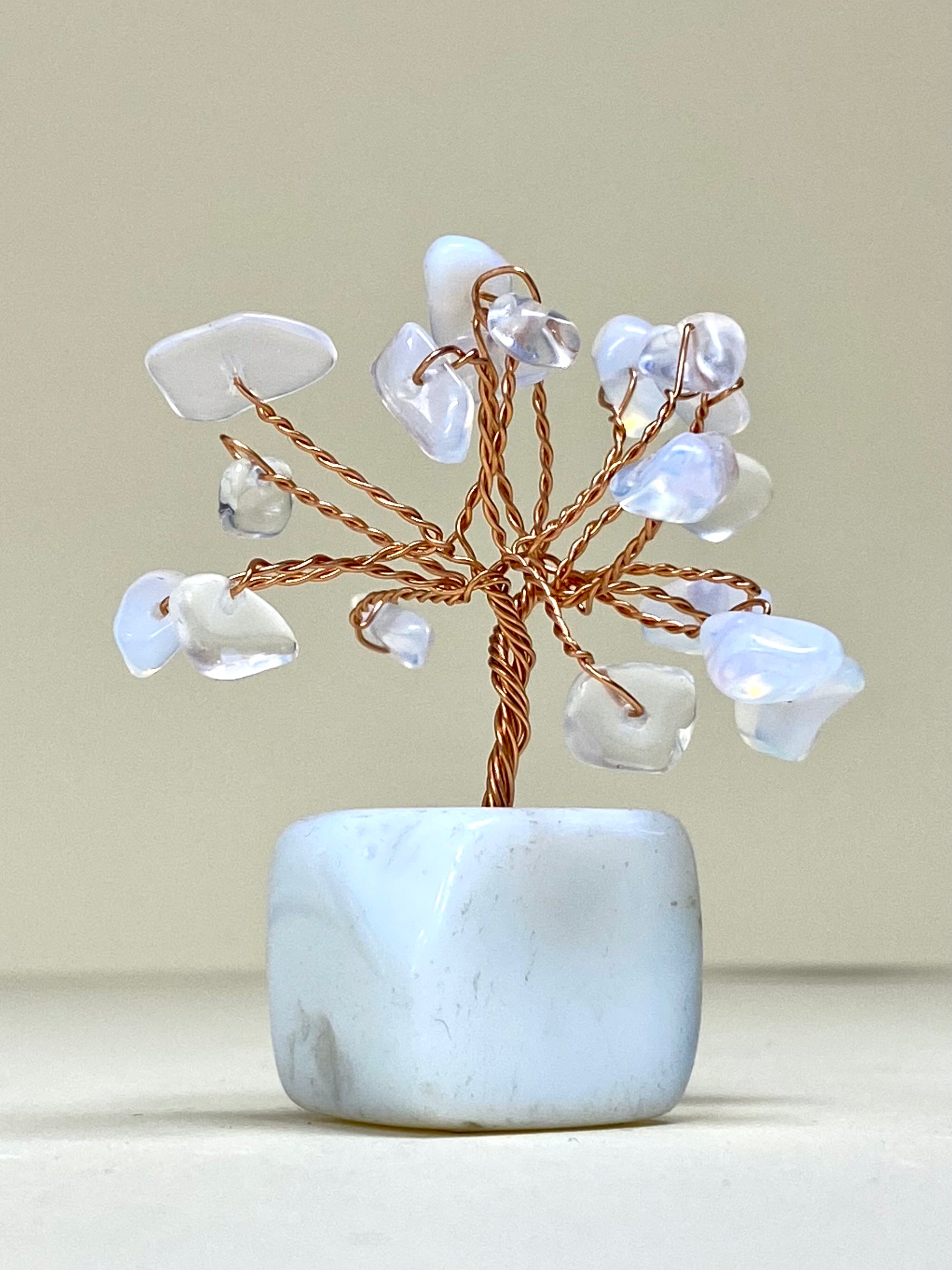 Opal Chip Tree on Opal Block