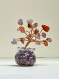 Strawberry Quartz Chip Tree in glass pot