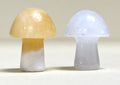 Mini Mushrooms Assorted