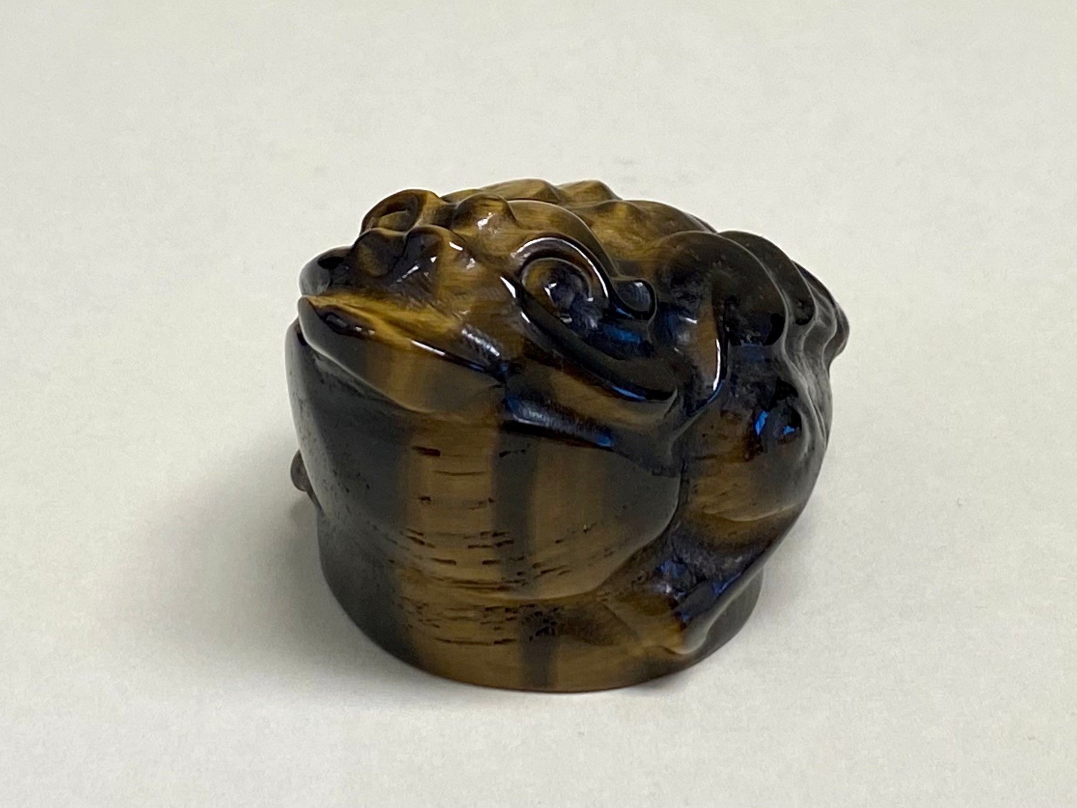 Tigers Eye Money Toad