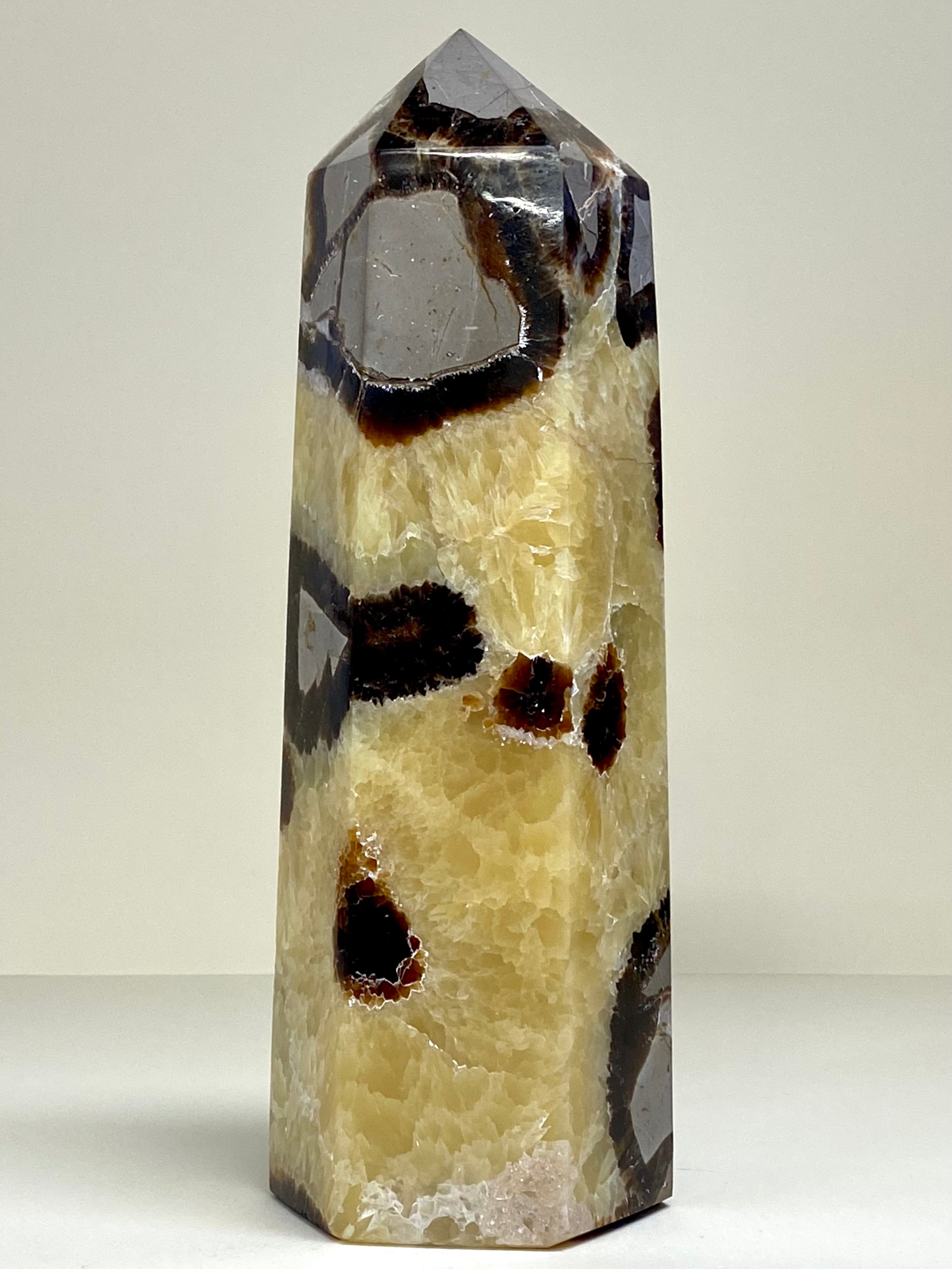 Septarian point Tower