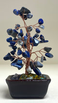 Lapis Chip Tree 15cm Rectangle Pot