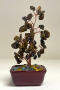 Tigers Eye Chip Tree 15cm Rectangle Pot