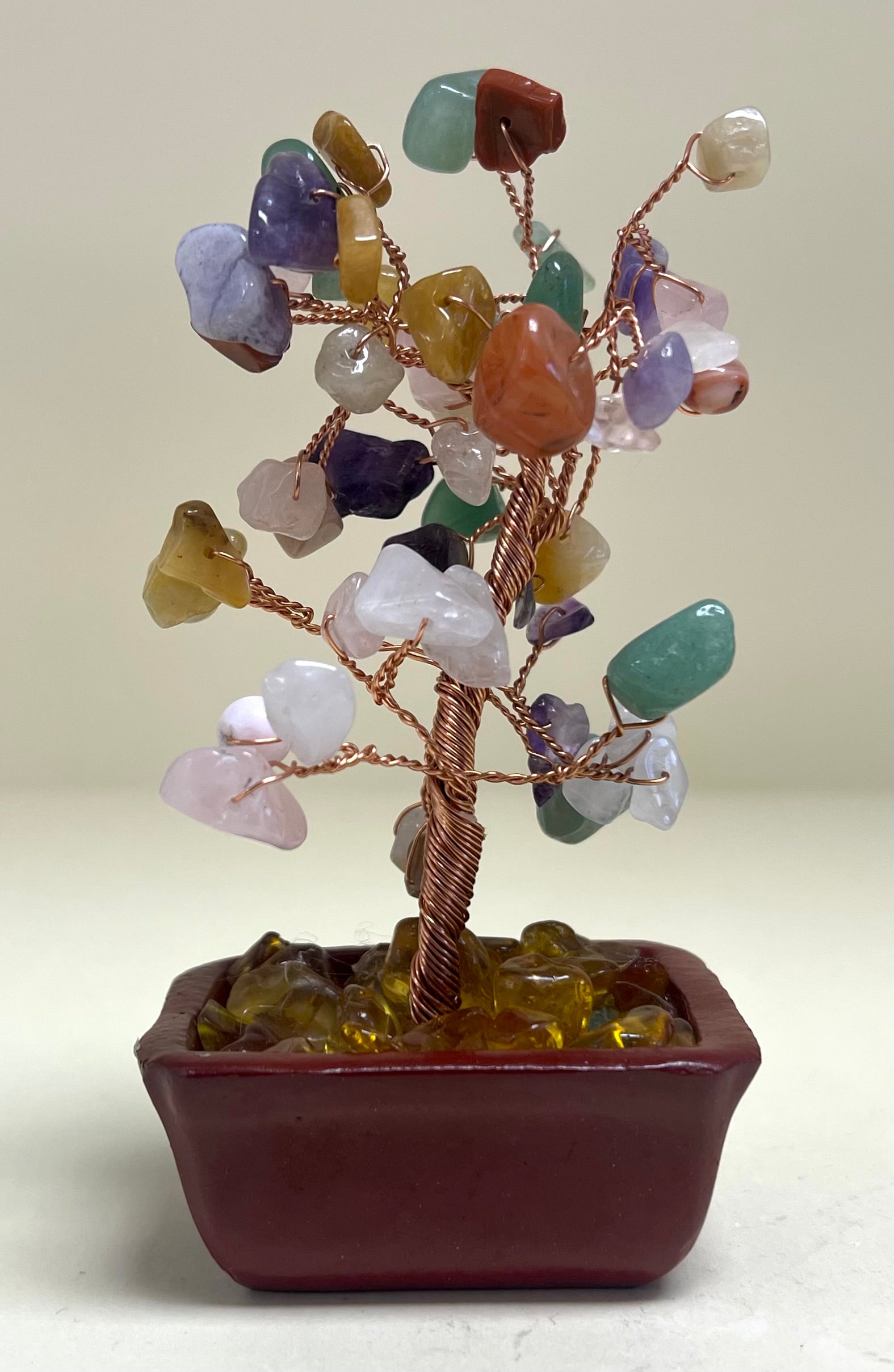Mixed Chip Tree 15cm Rectangle Pot