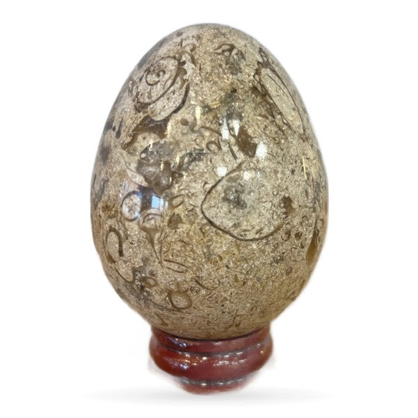 Onyx Egg Assorted