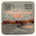 A Special Sister Carnelian Bracelet Tree of Life