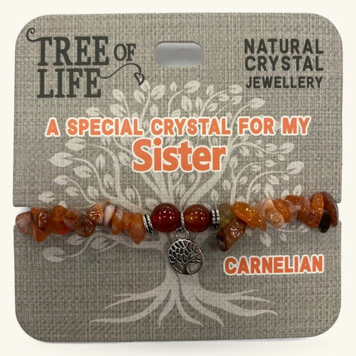 A Special Sister Carnelian Bracelet Tree of Life