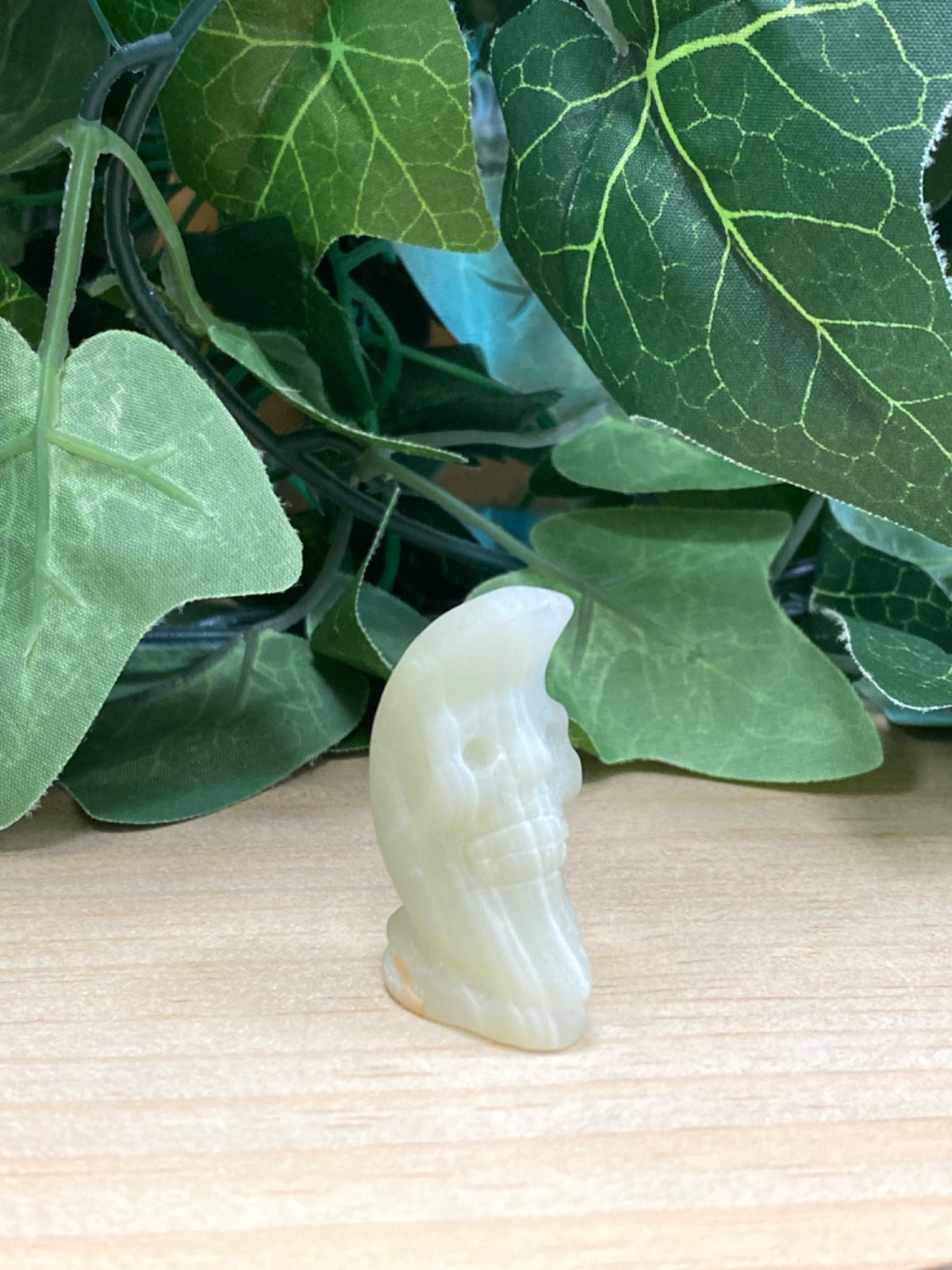 Pale cream Afghan jade carving of a stylised face in profile, resting on wooden surface with green leaves behind