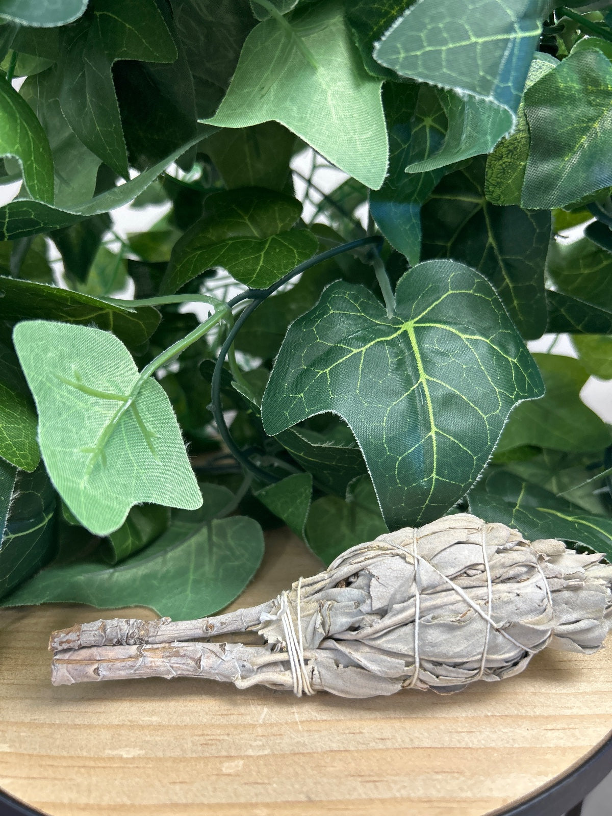 White sage torch smudge bundle tied with twine, displayed on wood with fresh green foliage behind it.