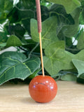 Red jasper sphere on wooden stick stem, sitting on timber surface with green leafy plant behind