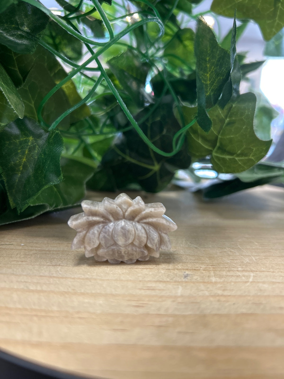 Pale moonstone lotus flower carving on wood, with green potted plant tendrils above