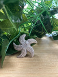 Pale soapstone starfish carving with carved details, displayed on a wooden surface beside trailing green plants.