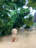 Small pale onyx dog carving sitting on timber, green potted plant behind