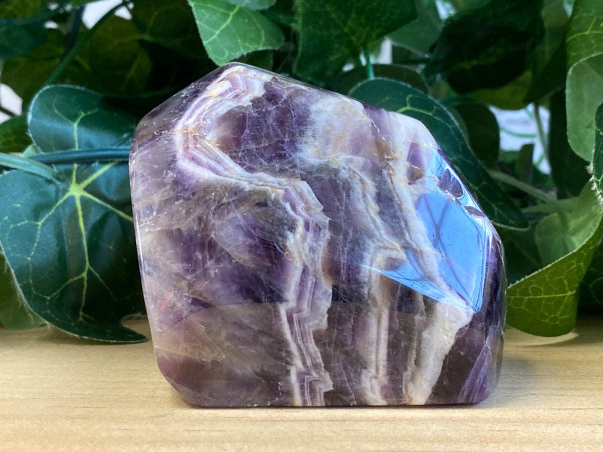 Polished amethyst chevron freeform, purple and white banded with blue flash, displayed against green foliage.