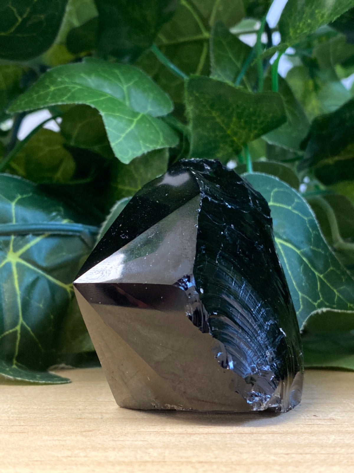 Raw black obsidian point, roughly 143g, displayed on pale wood against green foliage