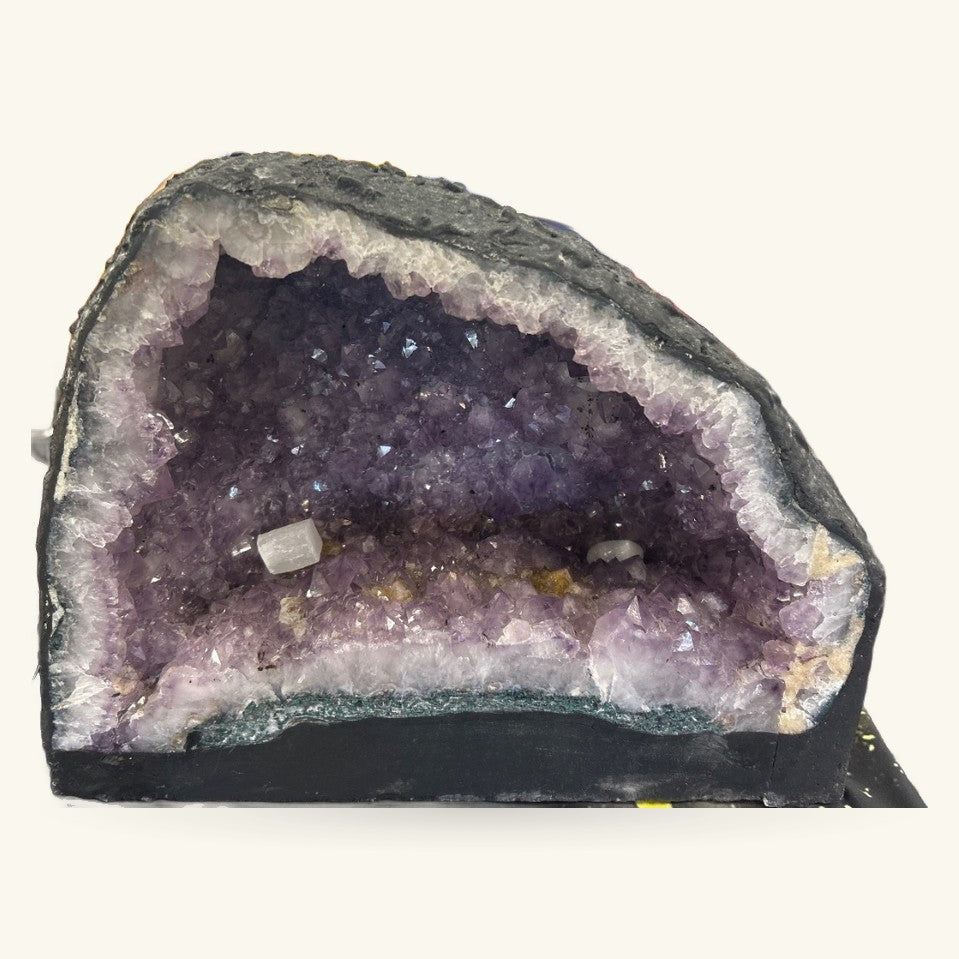 Large amethyst geode cave with deep purple crystals and pale lavender outer band, dark exterior