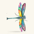Metal dragonfly wall art with rainbow-coloured wings in pink, purple, blue, green, yellow and orange