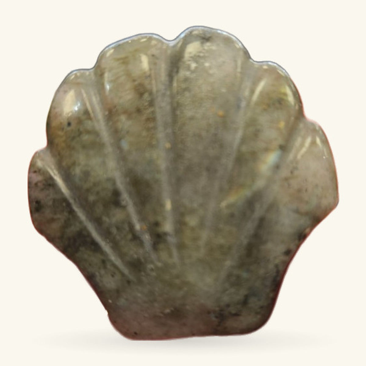 Pale green labradorite carved into a shell shape with natural striations and a polished finish